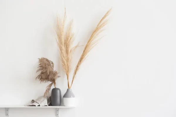 אקססוריז וסטיילינג