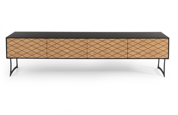 מזנון דגם טריגון