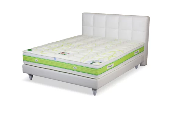 צילום מזרן גומאויר בריאות קשיח 969