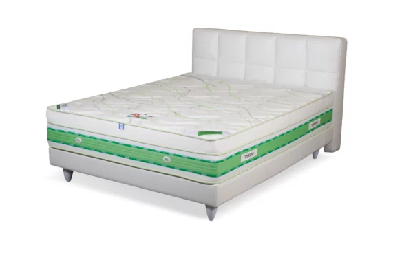 מזרן מדע גומאויר 929 לטקס משולב ויסקו