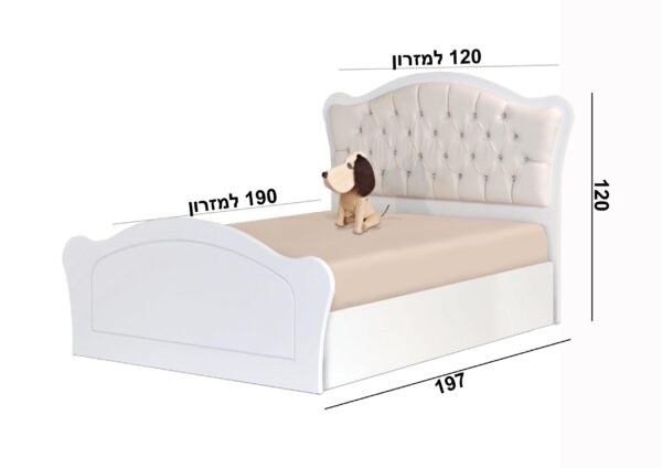 מיטת נוער תלמה