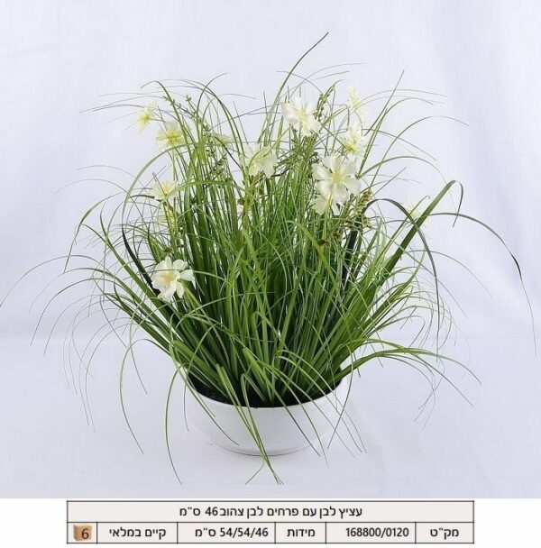 עציץ לבן עם פרחים לבן צהוב 46 ס"מ