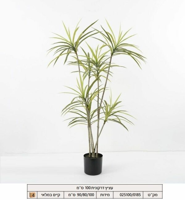עציץ דרקונית 100 ס"מ
