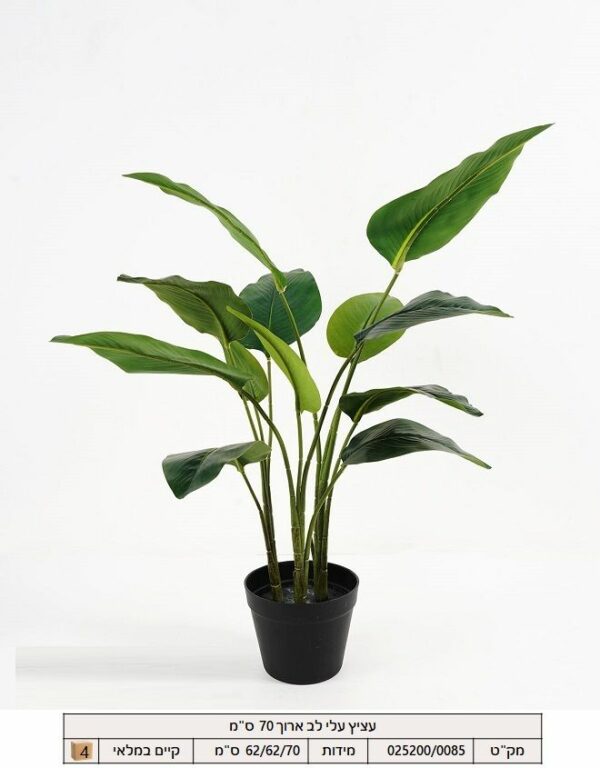 עציץ עלי ארוך 70 ס"מ