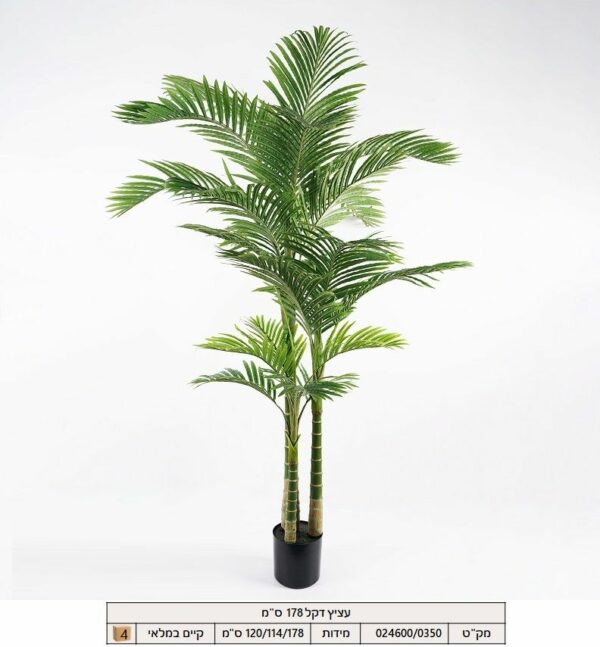 עציץ דקל 178 ס"מ