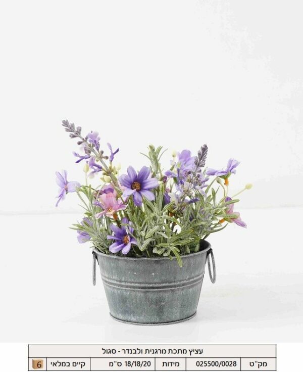 עציץ מתכת מרגנית ולבנדר - סגול