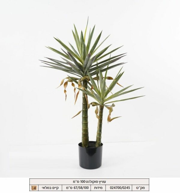 עציץ סוקטולנט 100 ס"מ