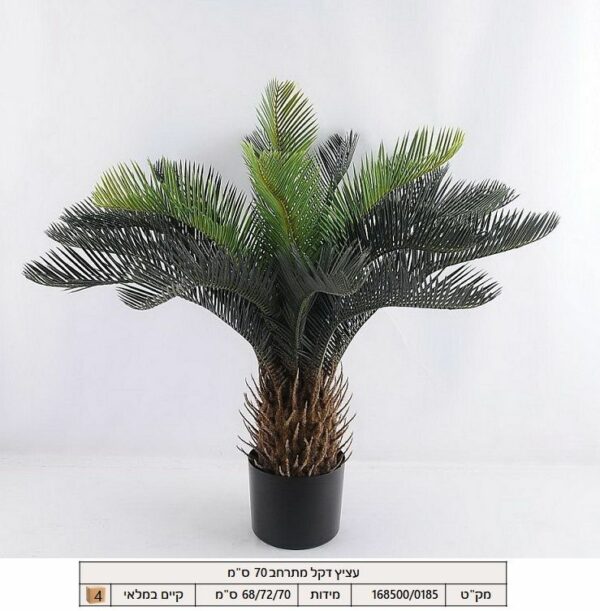 עציץ דקל מתרחב 70 ס"מ