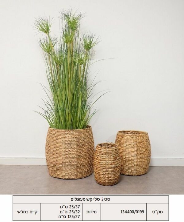 עציץ עשב דק 152 ס"מ