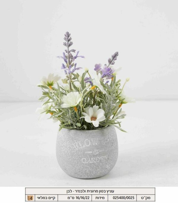 עציץ בטון מרגנית ולבנדר -לבן