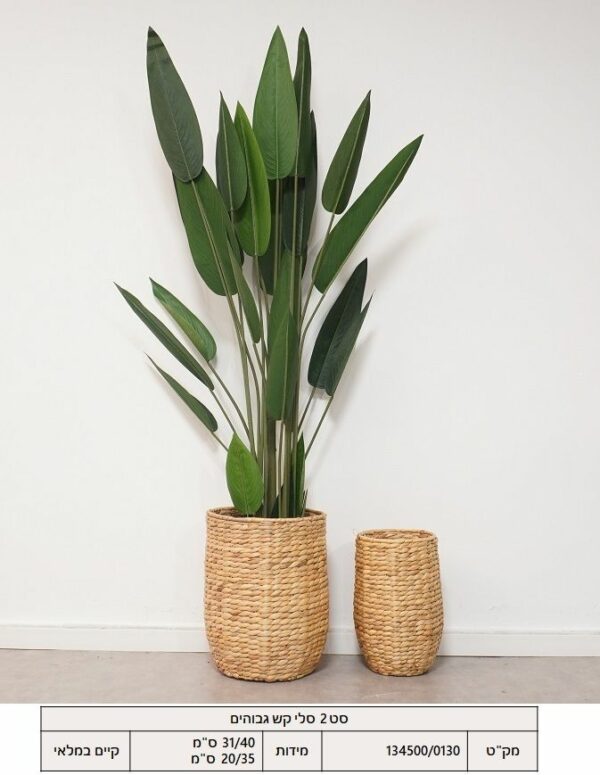 סט 2 סלי קש גבוהים