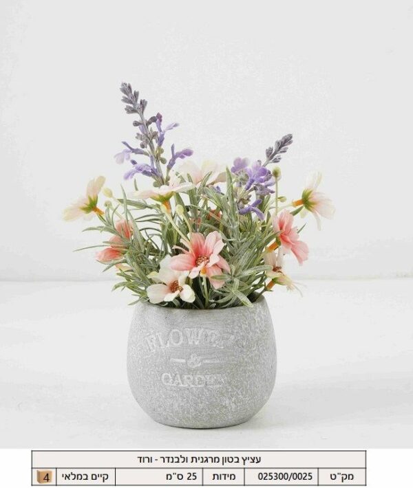 עציץ בטון מרגנית ולבנדר -ורוד