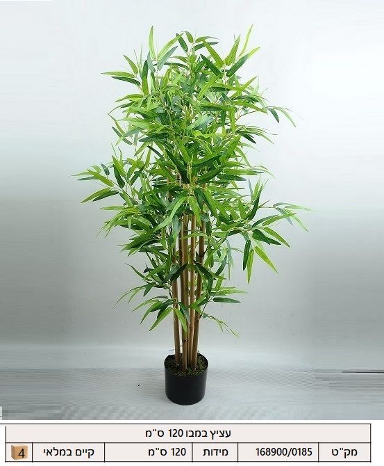 עציץ במבו 120 ס"מ