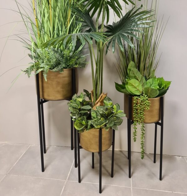 סט מעמדי עציצים עגולים זהב