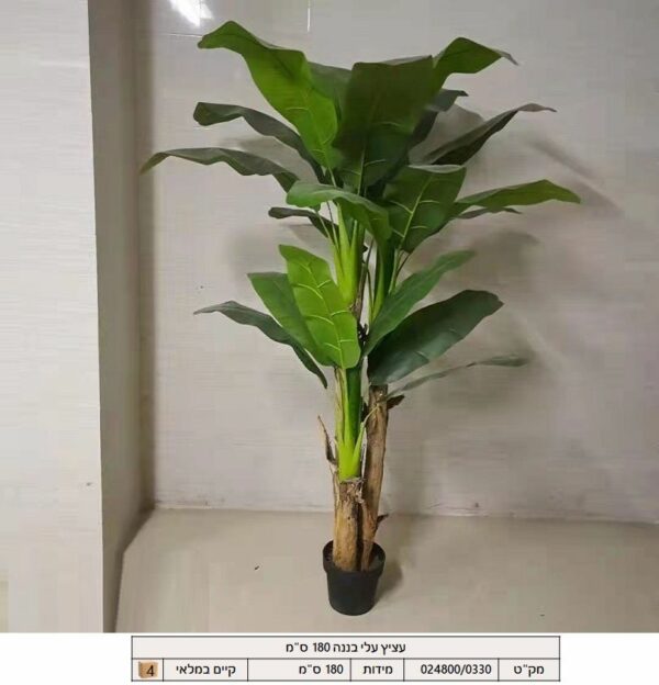 עציץ עלי בננה 180 ס"מ