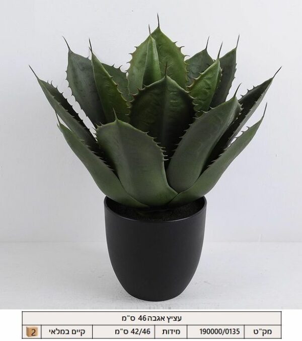 עציץ אגבה 46 ס"מ