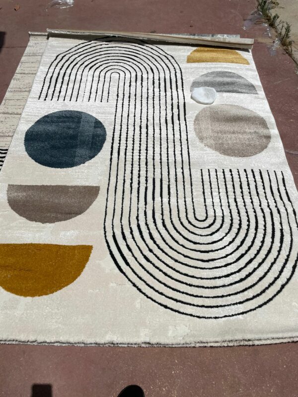 שטיח שאגי רוני מיוחד