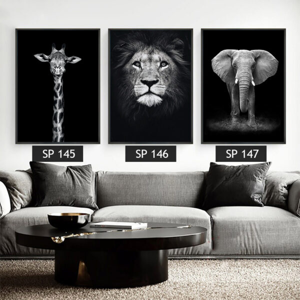 סט 3 תמונות קנבס חיות בשחור לבן (פיל, אריה, גירפה)