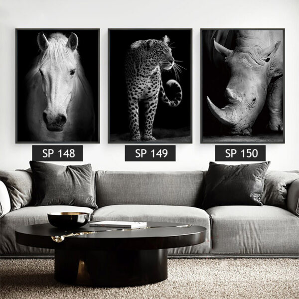 סט 3 תמונות קנבס חיות בשחור לבן (נמר, סוס, קרנף )