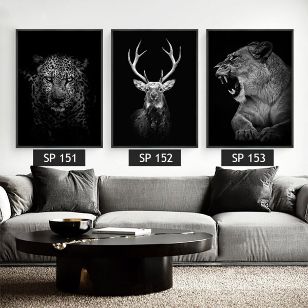 סט 3 תמונות קנבס חיות בשחור לבן (נמר, אייל, טיגריס)