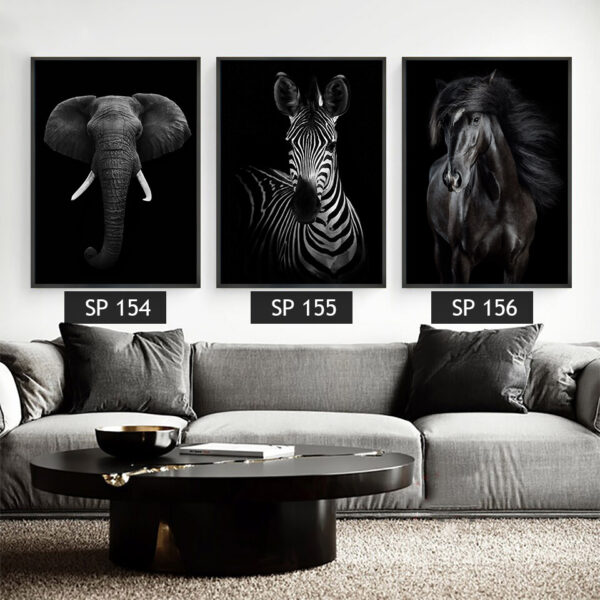 סט 3 תמונות קנבס חיות שחור לבן (פיל, זברה , סוס)