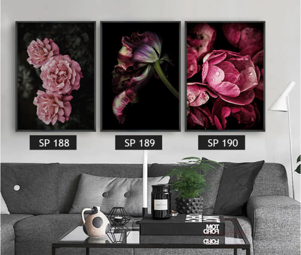 סט 3 תמונות קנבס פרחים