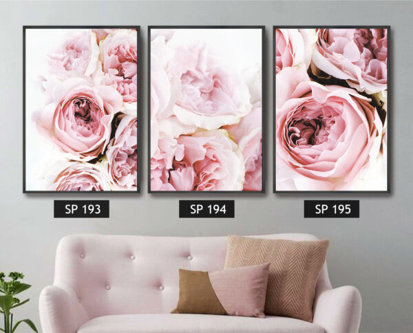 סט 3 תמונות קנבס פרחים ורודים
