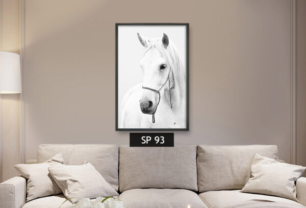 תמונת קנבס סוס לבן SP 93