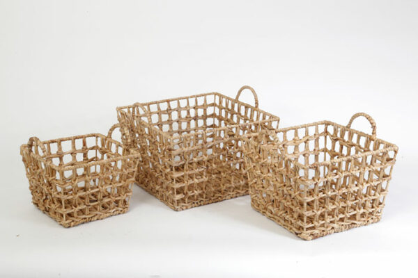 סט 3 סלסלות מצמח יקינטון המים