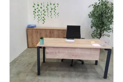 שולחן משרדי רוחב 160 ס``מ דגם דינו בצבע עץ בהיר