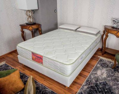 מזרון תרפדיק