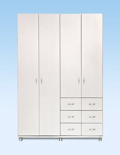 ארון דלתות דגם מיטל