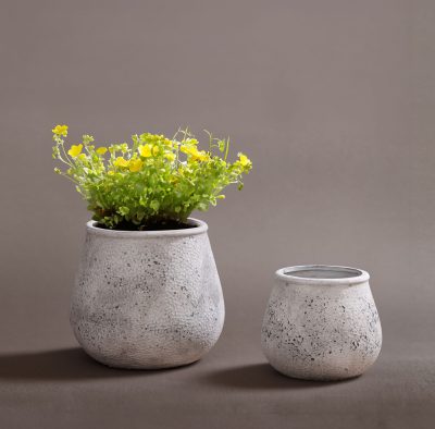 ארגטלי טרקוטה מתעגל