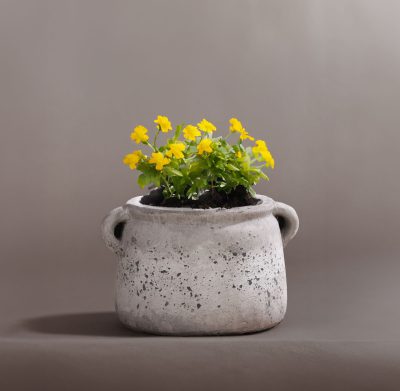 אגרטל טרקוטה סיר